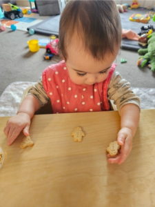 Little Bellies Snacks review