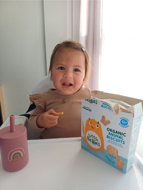 Little Bellies Snacks review BV Little Bellies Snacks review BV