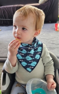 Little Bellies review