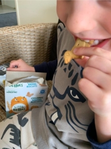 Little Bellies review