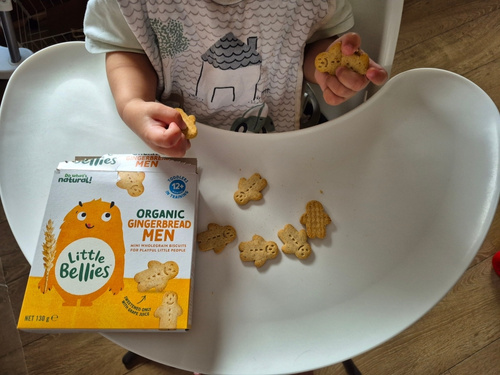 Little Bellies Snacks review