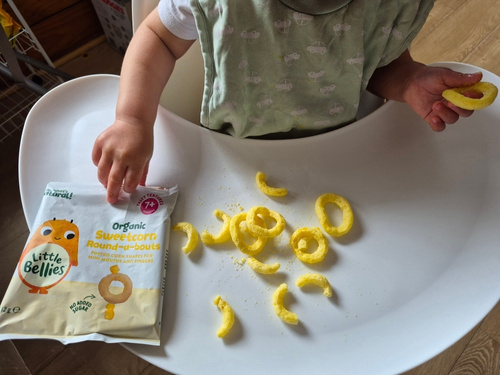 Little Bellies review LB2 Little Bellies Snacks review