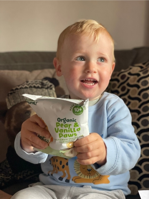 Little Bellies Snacks review 