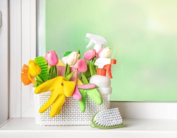 Spring cleaning tips and checklists