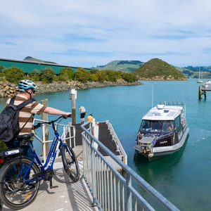 Port To Port Cruises & Wildlife Tours