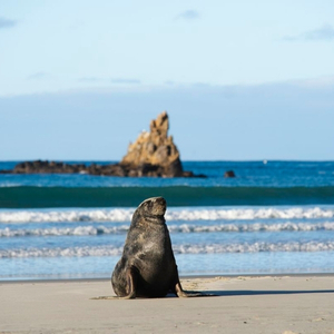 Clearwater Wildlife Tours