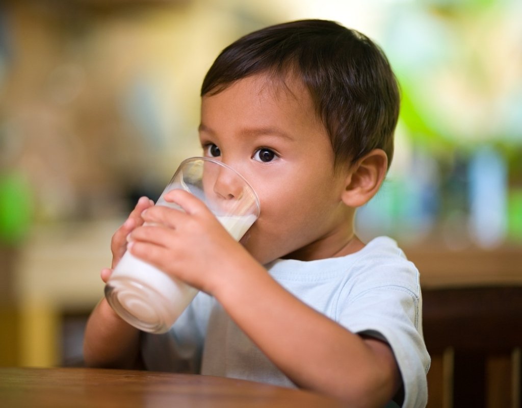 Toddler milk drink
