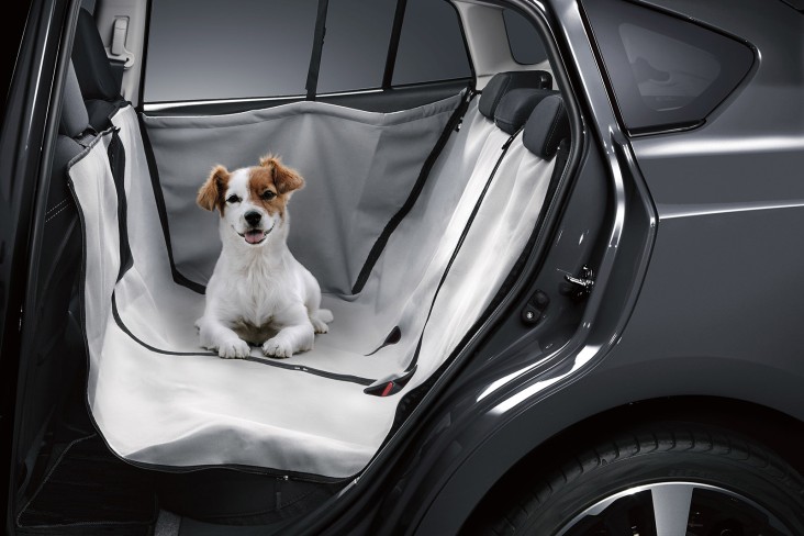 Subaru Forester Rear Set Pet Protector
