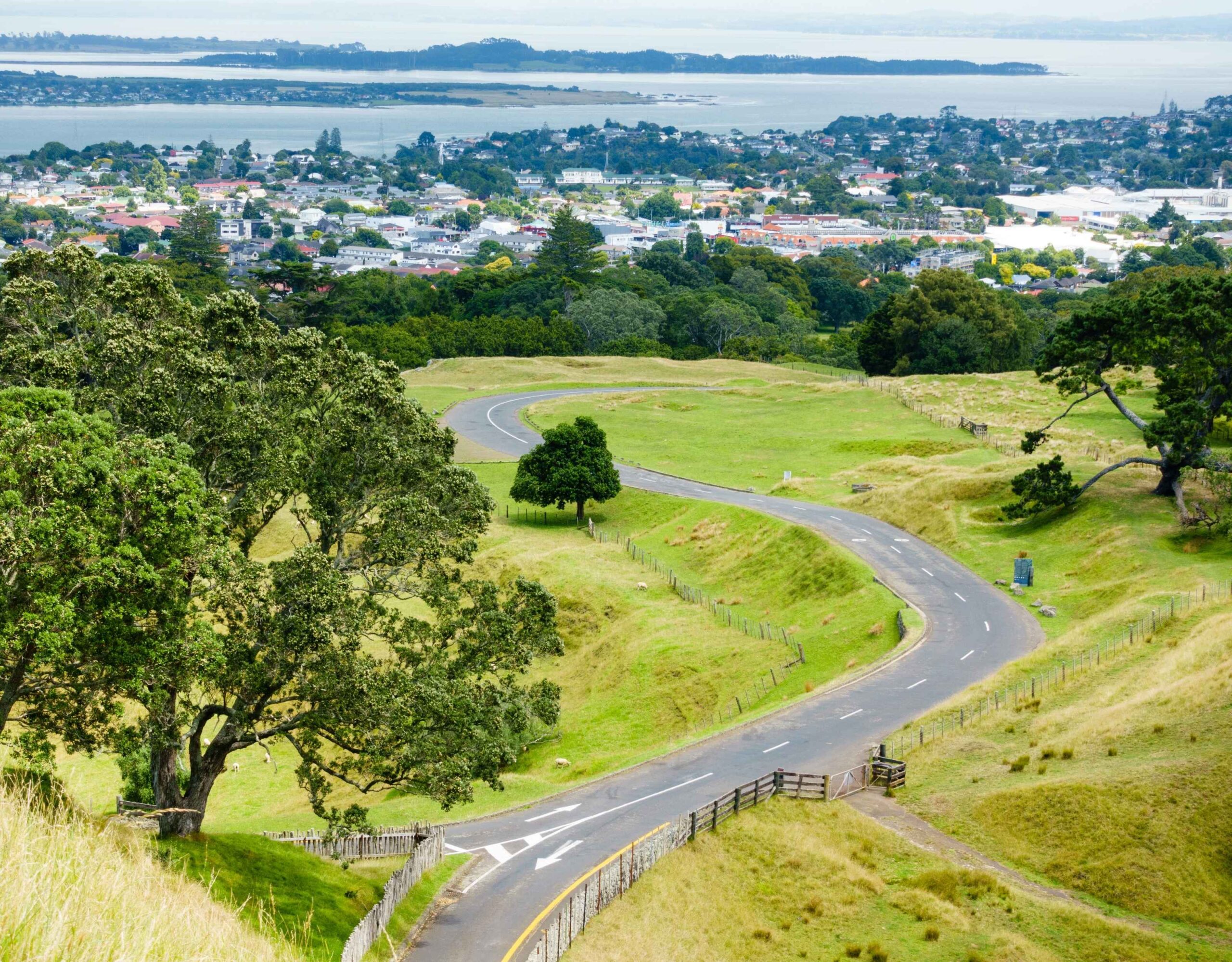 View of Auckland from a hilltop looking down to the harbour.