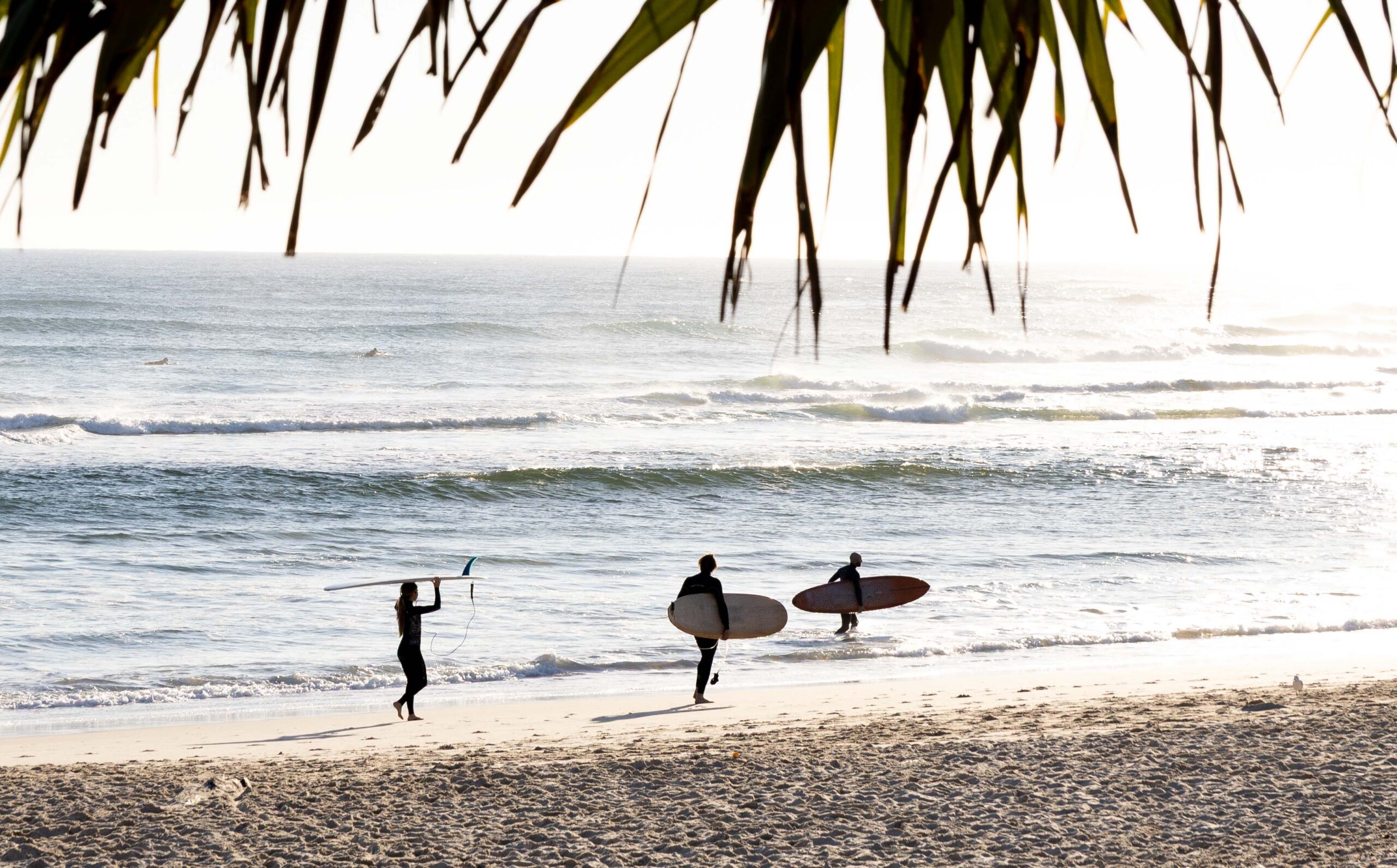 Surfers at the beach.