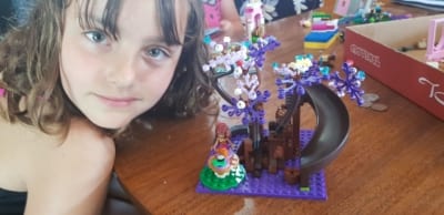 rps20181113_170830
